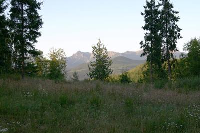 cabin view Sequim.jpg