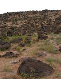 Hillside