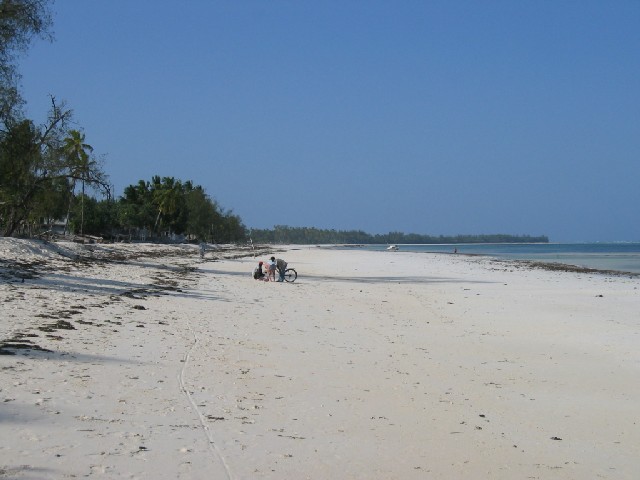 a beach on the east coast
