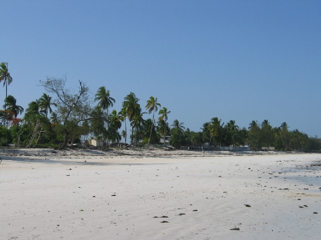 More beach