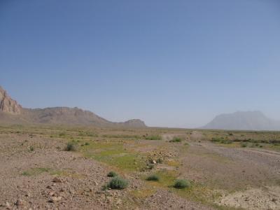 Farah desert