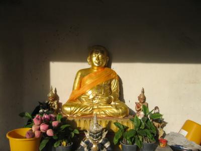 Buddha In Evening Light