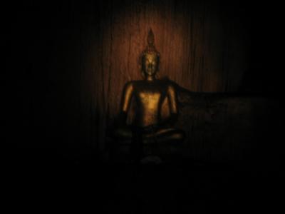 A Cave Buddha