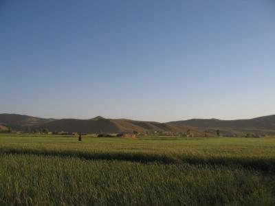 Shahrak fields