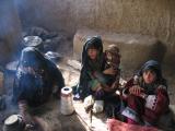 Kuchi Nomads