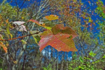 CRW_7373-01.jpg