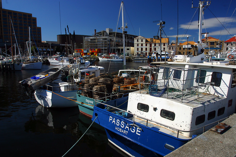 Constitution Dock , Hobart