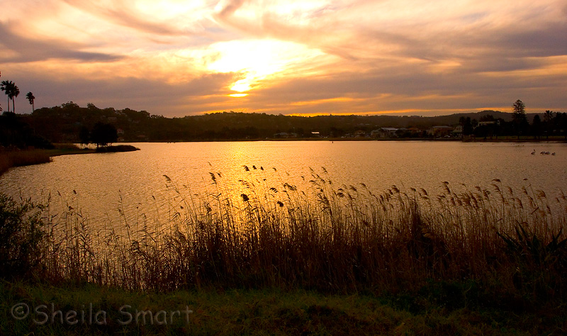 Narrabeen Lagoon 