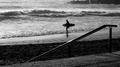 Surfer at Manly Beach