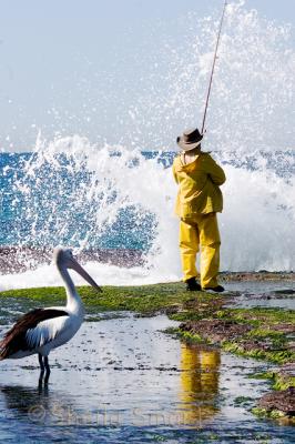Fisherman with pelican