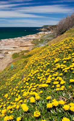 Miscellaneous beaches