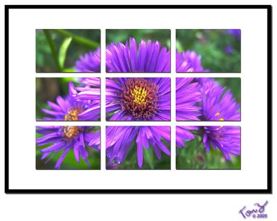 Purple Flower Collage in a Frame