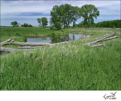 Glacial Park  -  Nippersink Creek  05250060_800x600.jpg