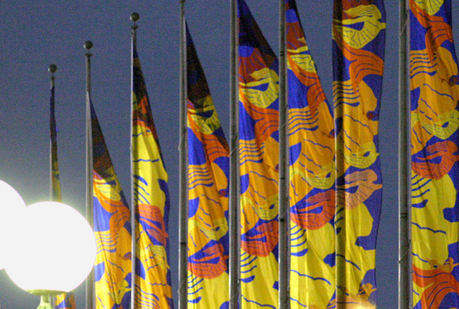 flags at Chrysler Hall