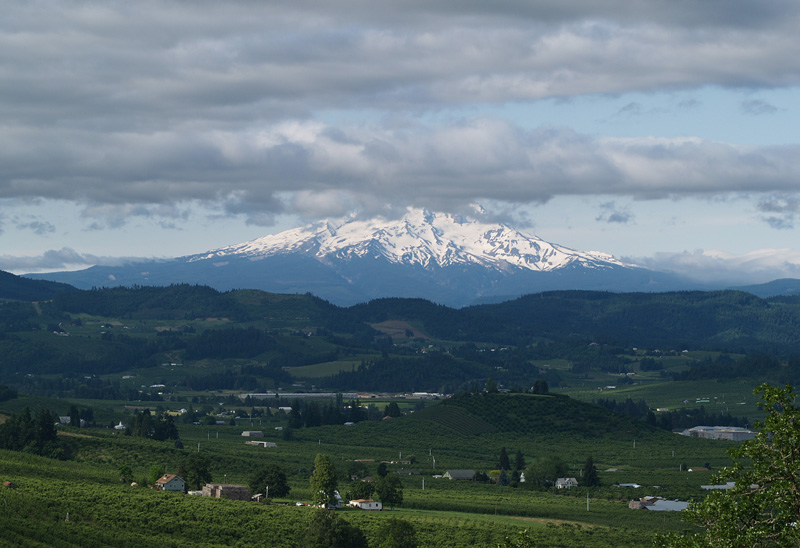 Mt Hood from near Hood River