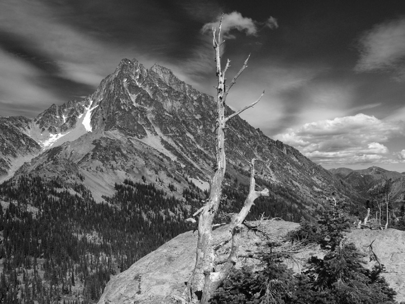 Mt Stuart