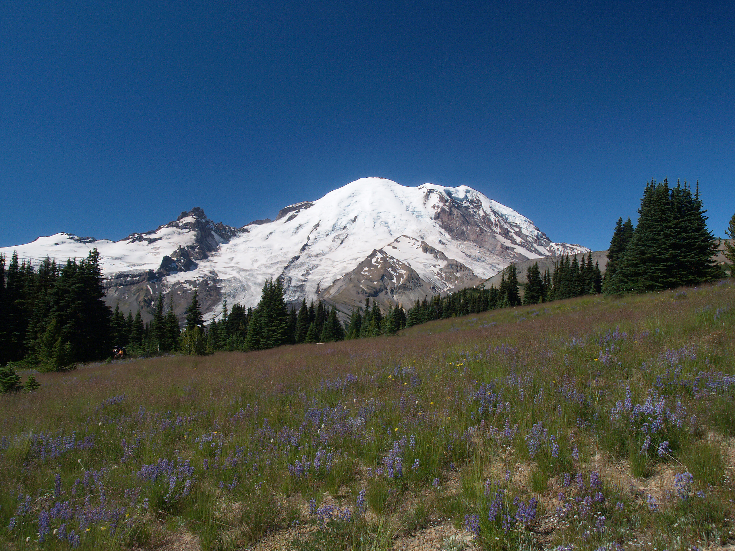 Rainier from Sunrise