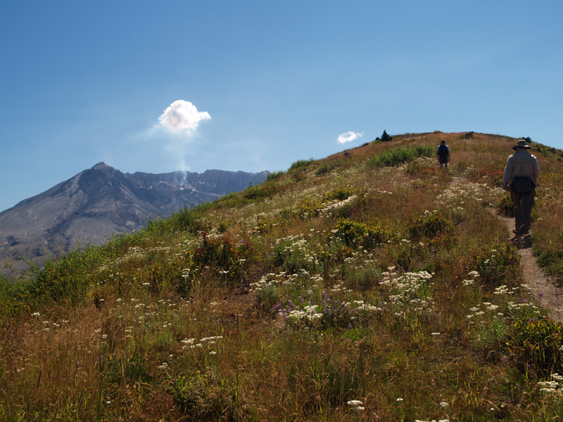 St Helens and Harrys Ridge