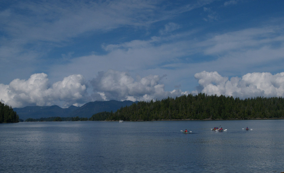 Turtle Island from Dodd Island