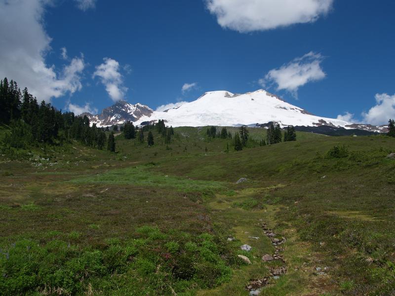 Mt Baker