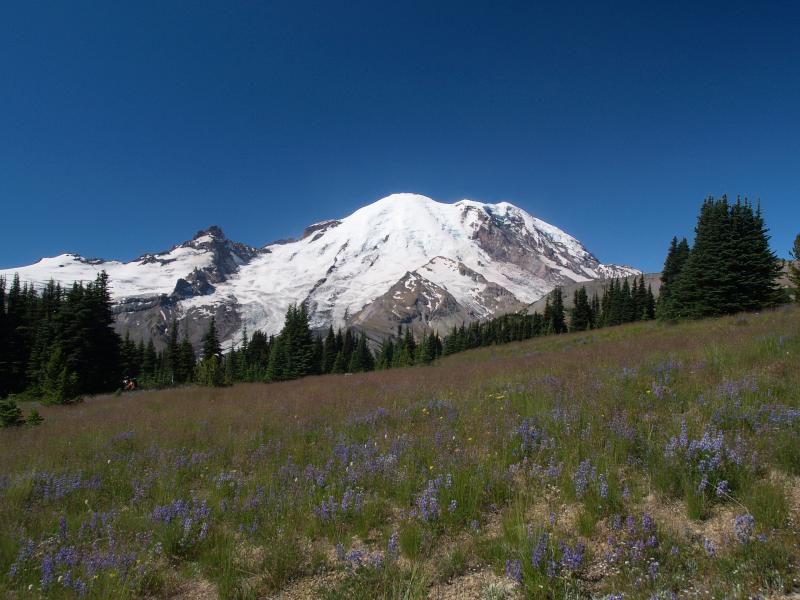 Rainier from Sunrise