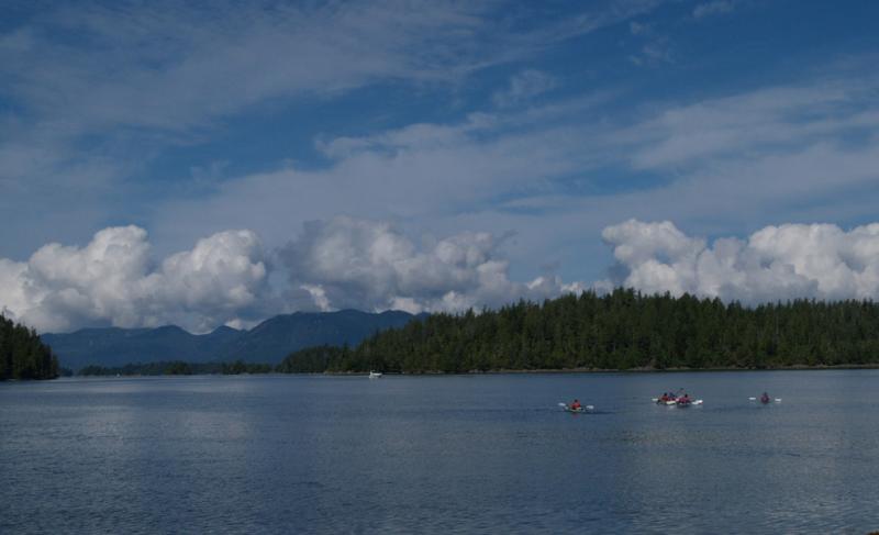 Turtle Island from Dodd Island