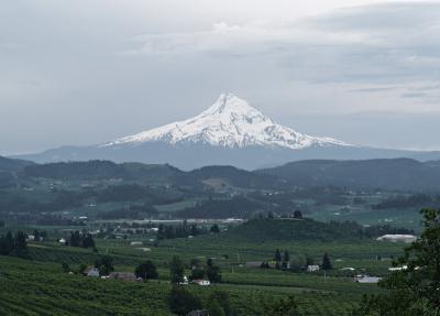 Mt Hood from near Hood River