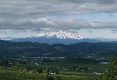 Mt Hood from near Hood River