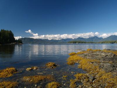 Vancouver Island from Dodd