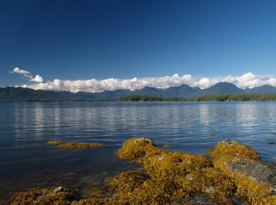 Vancouver Island from Dodd