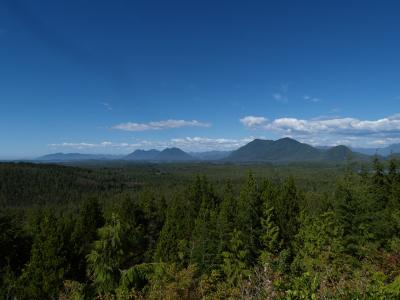 Radar Hill, Tofino