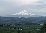 Mt Hood from near Hood River