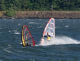Windsurfing at the Hatchery