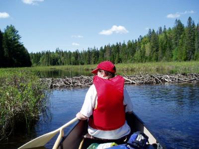 algonquin - may 2005 065.jpg