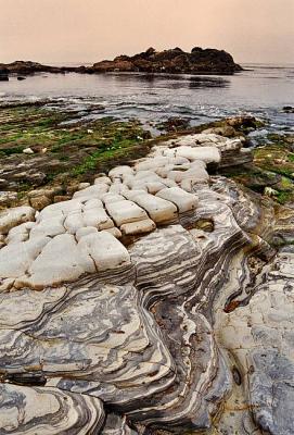 CA Point Lobos