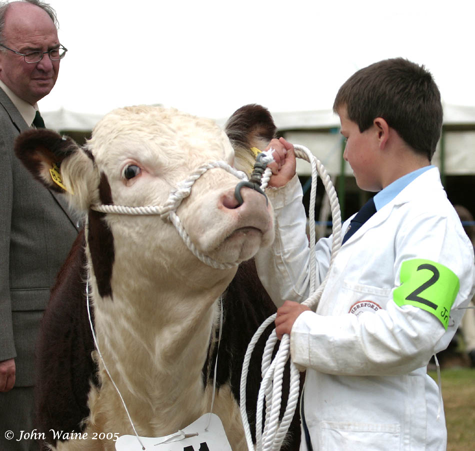 First time under the judges watchful eye