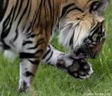 My feet are killing me!