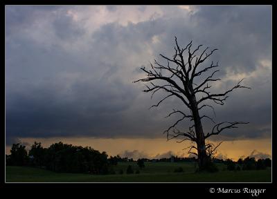 Impending Doom