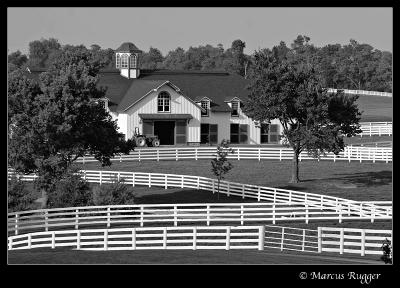 Horse Farm Take II