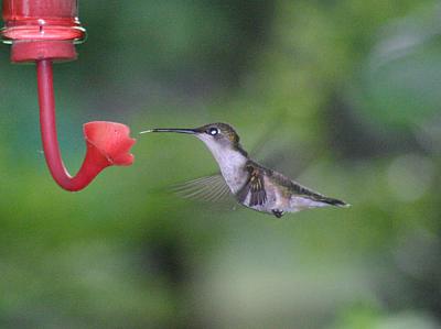 IMG_0009001.jpg