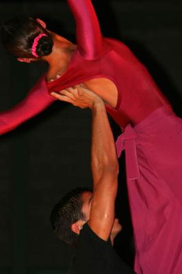 Bafochi - Ballet Folclórico de Chile
