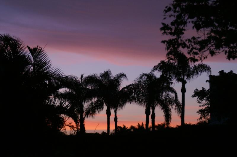 PICT0118.JPG