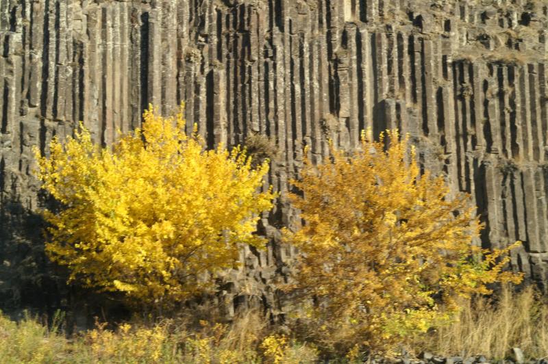 PICT0076.JPG