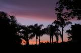 PICT0118.JPG