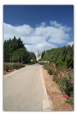 rose garden- Jerusalem