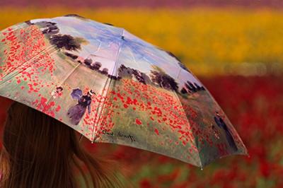 Monet's Flowers