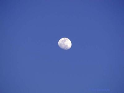 v3/94/575794/3/51042134.webdwpDaytimeMoon8x6.jpg