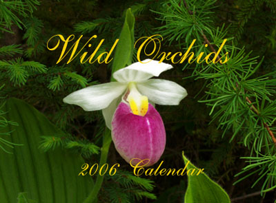 2006 Calendar Cover