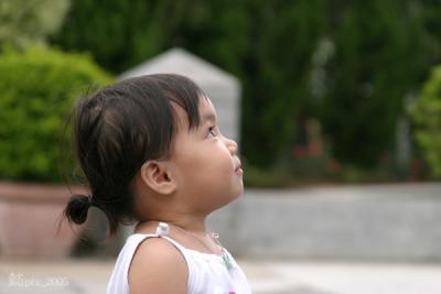 v3/95/191795/3/46625868.TaiPo_Park_Jul23TaiPo_Jul23_43_JFR.jpg