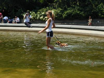 Splashing Dog (I wouldn't walk in that water, yuck!) (7/3/05)
